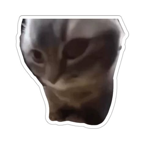 Chipi Chipi Chapa Chapa Cat Sticker Cat Meme Tik Tok Meme Sticker ...