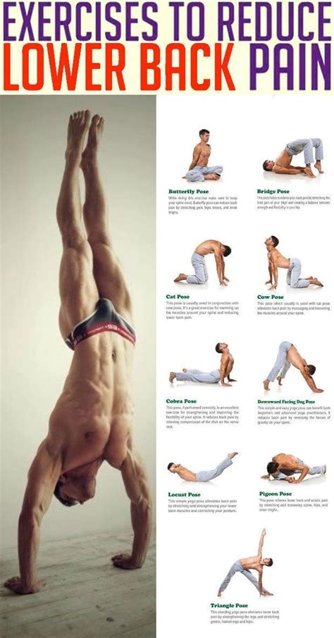 5 best yoga poses for lower back painting