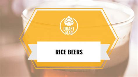 Rice Beer Brands: 13 of the Best-selling Rice Brews in the Market