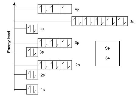 Orbital Diagram For Selenium