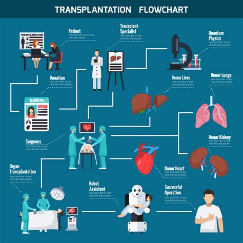 Transplantation Flowchart Layout 480426 Vector Art at Vecteezy