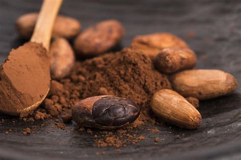 Cocoa flavanols can protect cardiovascular health - UPI.com