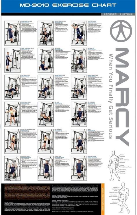 Pin by Cassidy Daniels on great workouts!! | Marcy home gym, Smith machine workout, Gym workouts ...