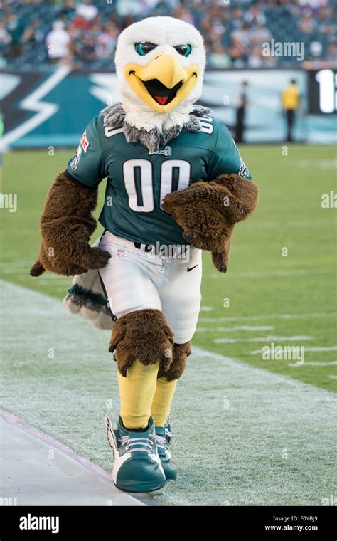 Philadelphia, Pennsylvania, USA, 22nd Aug, 2015. Philadelphia Eagles mascot Swoop in action ...