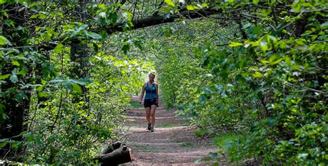 Ocean County Parks, Golf Courses to Begin Phased Reopening: Here’s the ...