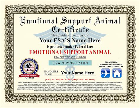 Printable Service Dog Certificate