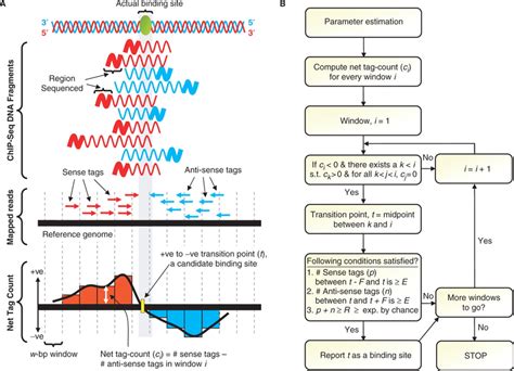 Schematic overview of SISSRs algorithm. (A) Sequenced short reads ...