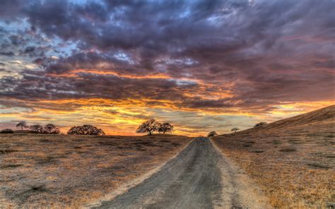 Wallpaper : field, grass, sunset, HDR 2560x1600 - wallup - 998181 - HD Wallpapers - WallHere