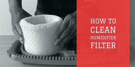 How to Clean Humidifier Filter: 3 Best Methods Explained