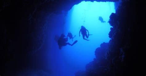 Cave Diving Underwater Scuba Divers Exploring Stock Footage Video (100% ...