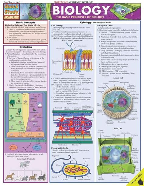 an image of a poster with information about the structure of plants and ...