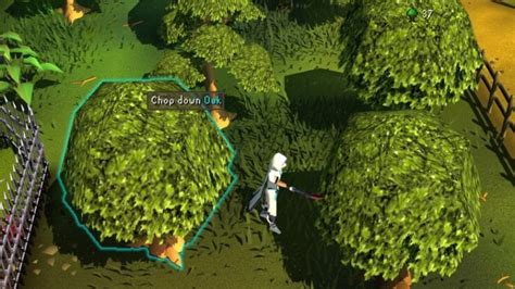 The Best Place to Cut Oak Trees in OSRS | DiamondLobby