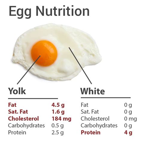 Egg nutrition facts | Nutrition, Egg nutrition facts, Egg white nutrition