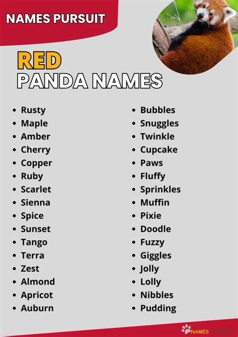 Red Panda Names [300+ Adorable & Unique Ideas]