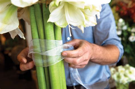 Sensational Amaryllis Arrangement - Flower Magazine