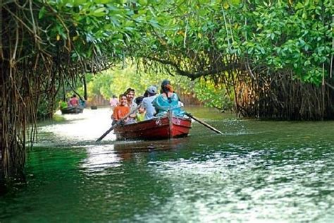 2024 Pichavaram Mangrove & Nataraja Temple Chidambaram from Pondicherry ...