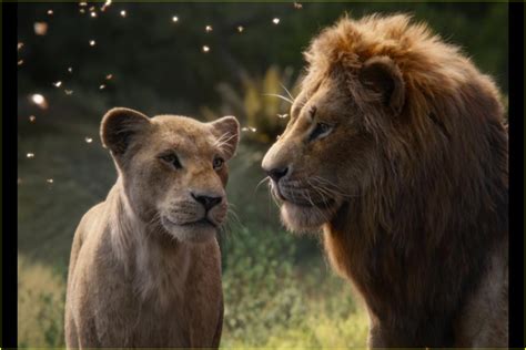 Is There a 'The Lion King' End Credits Scene?: Photo 4322656 | Movies, The Lion King Pictures ...