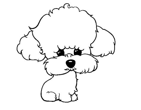 Poodle Drawing, Dog Drawing, Mini Poodles, French Poodles, Dog Line Art, Dog Art, Perros French ...