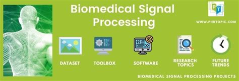 25+ Biomedical Signal Processing Projects [Novel Research Ideas]