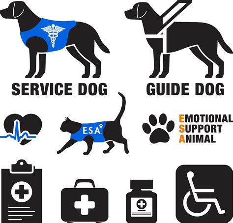 Frequently Asked Questions about Service Animals and the ADA — PAAutism.org, an ASERT Autism ...