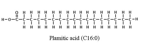 Palmitic acid - Alchetron, The Free Social Encyclopedia