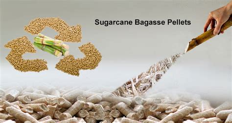 1t/h Bagasse Pellet Plant/Wood Pellet Plant Design