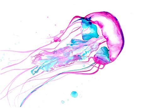 http://jessicadurrant.com/wordpress/?m=201206 | Medusas en acuarela, Pintura de medusas, Pez de ...