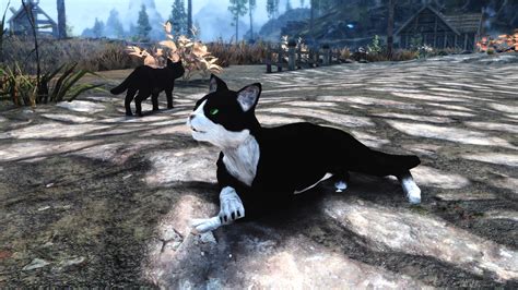 The ‘Loopy Cat Individual’ Skyrim mod simply received a 2.0 overhaul ...