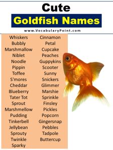 Unique Goldfish Names (Funny, Cool & Pet) - Vocabulary Point