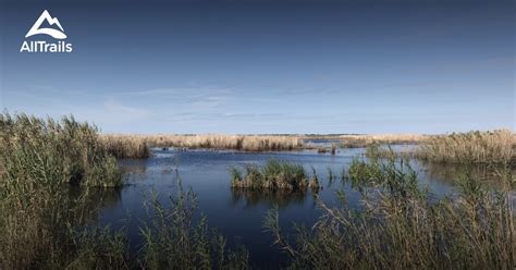 Best Trails in Anahuac National Wildlife Refuge - Texas | AllTrails