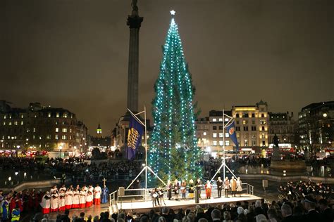 Trafalgar Square Christmas tree sparkles following light switch on ...