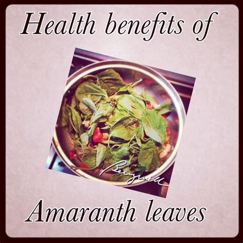 Health Benefits of Amaranth Leaves | Flower Power | Pinterest