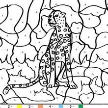 ANIMALS Color by Number coloring pages - Coloring pages - Printable ...