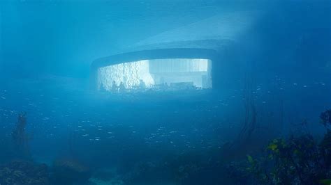 I'm Scared Of This Underwater Norwegian Restaurant But I Still Want to Go There