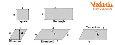 Parallelogram - Definition, Types & Properties