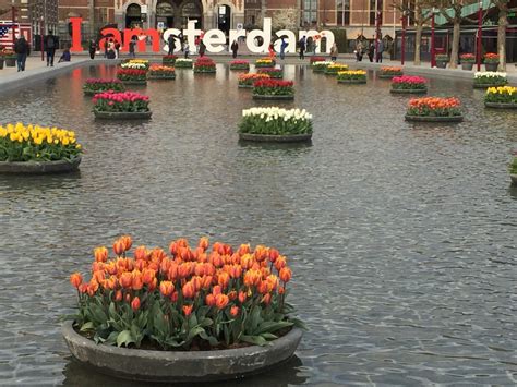 It's nearly spring, and Amsterdam is ready to celebrate with 500,000 ...