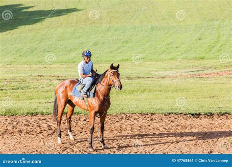 Race Horse Jockey Training editorial photo. Image of animal - 47768861