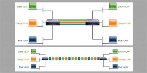 Description of Switchport Mode Access vs Trunk Modes on Cisco Switches