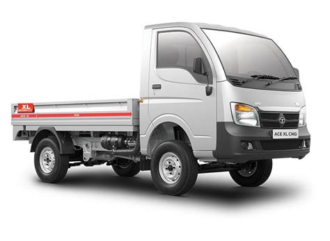 Tata Ace Gold Cng Mini Trucks at Rs 563214 | Samalka | New Delhi | ID: 21167335930