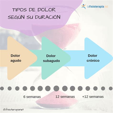 Dolor de espalda - Fisioterapia para fisioterapeutas y pacientes ...