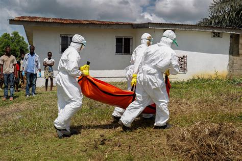 The Ebola virus mutated to better infect humans during the 2014 outbreak - The Washington Post