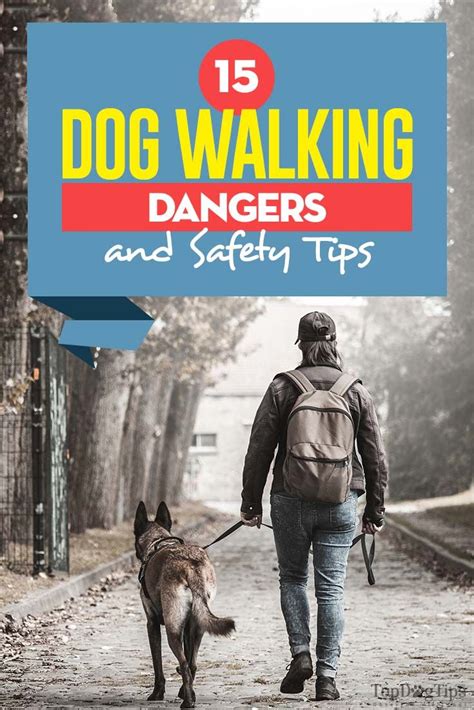 15 Dog Walking Dangers and Safety Tips | Dog walking business, Dog walking, Dog walking services