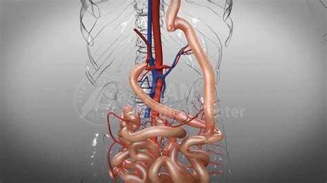 Total Gastrectomy - YouTube