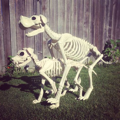 Pin by Crazy Bonez Skeleton on Cool Skeleton pets ideas crazy bonez ...