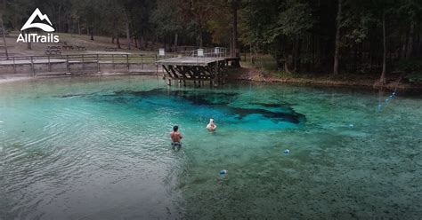 Best Trails in Gilchrist Blue Springs State Park - Florida | AllTrails