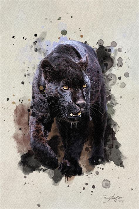 ArtStation - Panther | Artworks