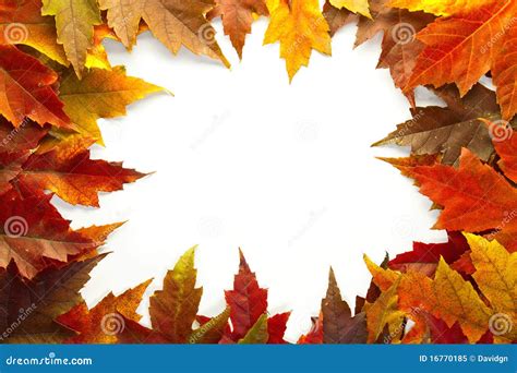 Maple Leaves Mixed Fall Colors Border 2 Stock Image - Image of border, mixed: 16770185