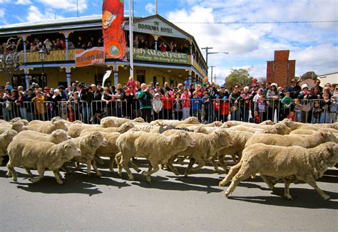 One Hungry Hen: Boorowa Irish Woolfest (Running of the Sheep)