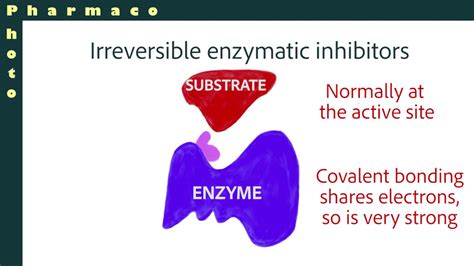 Enzymatic inhibitors: Competitive, non-competitive and irreversible - YouTube