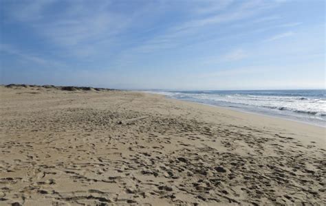 Salinas River National Wildlife Refuge in Salinas, CA - California Beaches